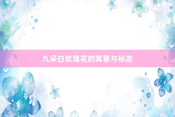 九朵白玫瑰花的寓意与标志