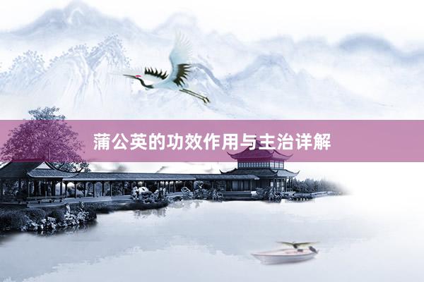 蒲公英的功效作用与主治详解