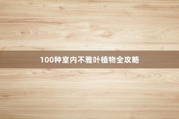 100种室内不雅叶植物全攻略
