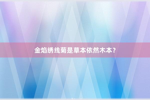 金焰绣线菊是草本依然木本？