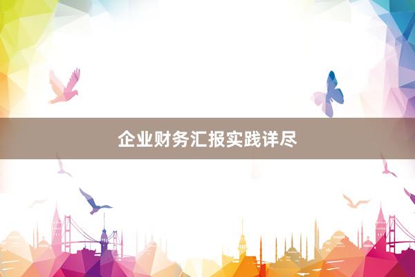 企业财务汇报实践详尽