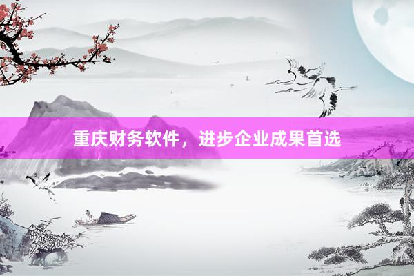 重庆财务软件，进步企业成果首选